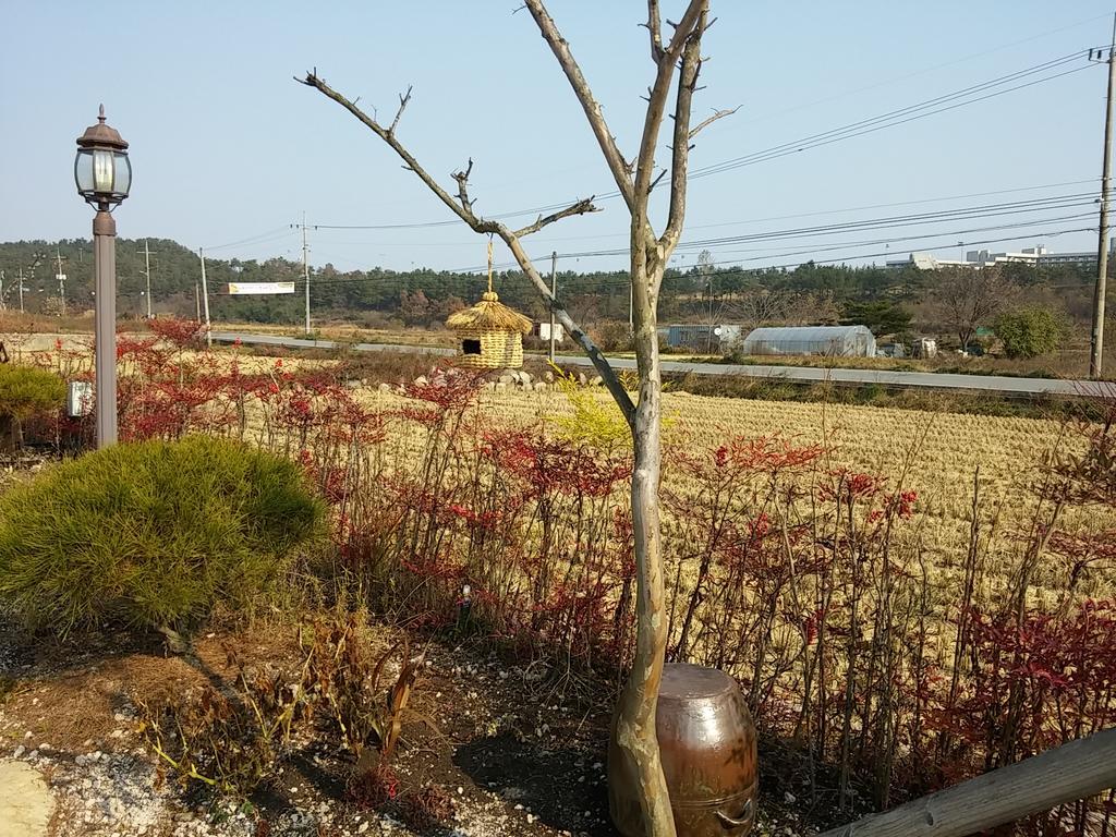 Starlight Journey Pension Gyeongju Exterior foto