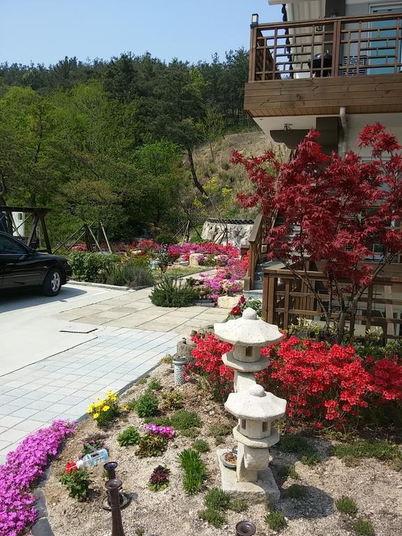 Starlight Journey Pension Gyeongju Exterior foto