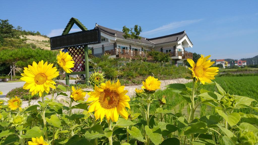 Starlight Journey Pension Gyeongju Exterior foto